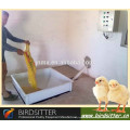 Modern BIRDSITTER chicken use automatic tube chicken equipment